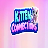 Kitten Connections