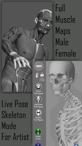 Pose Tool 3D free apk 6.8.180 download full version 6.8.180 list_5