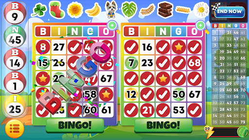 Bingo Classic - Bingo Games list_11