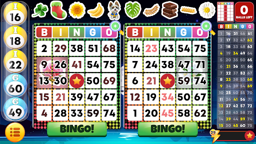 Bingo Classic - Bingo Games list_28