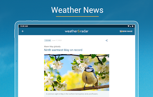Weather & Radar list_15