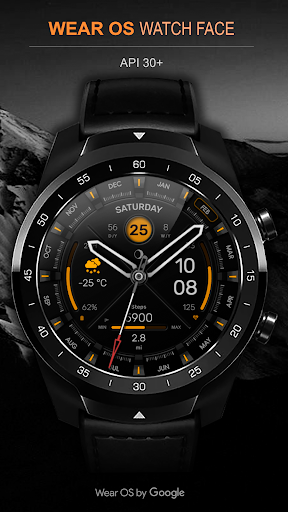 WFP 307 Hybrid watch face list_6