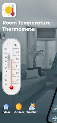 Room Temperature Thermometer list_1